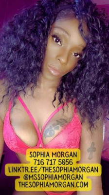 🦄❤🦄 The Sophia Experience 🦄❤🦄 NYC Ebony Escort 💖 Incall Outcall - image 7