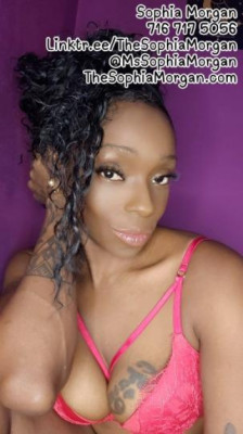 🦄❤🦄 The Sophia Experience 🦄❤🦄 NYC Ebony Escort 💖 Incall Outcall - image 8